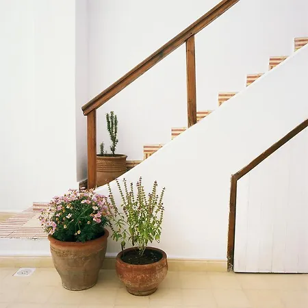 Dar Lazuli Bed & Breakfast-2